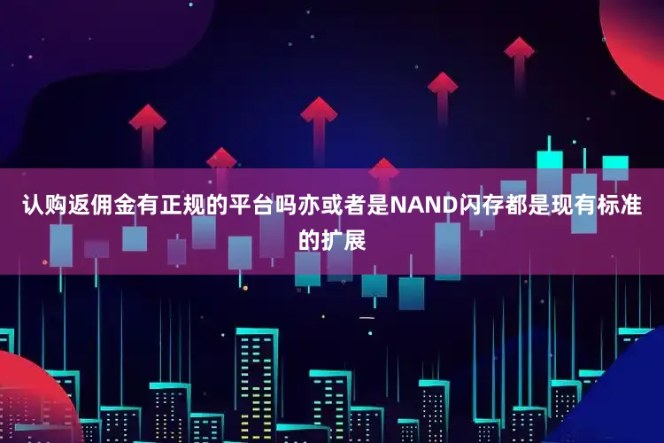 认购返佣金有正规的平台吗亦或者是NAND闪存都是现有标准的扩展