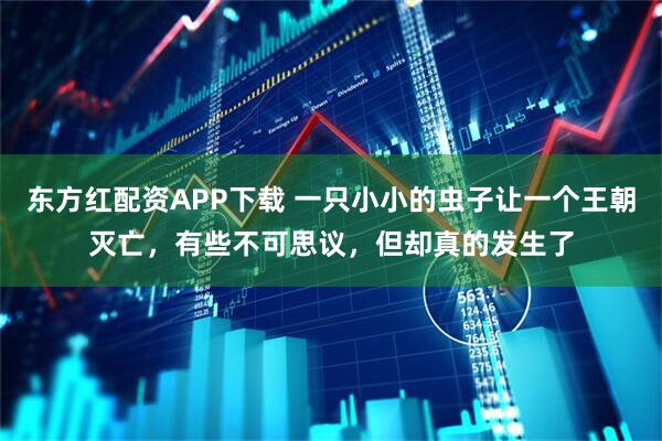 东方红配资APP下载 一只小小的虫子让一个王朝灭亡，有些不可思议，但却真的发生了