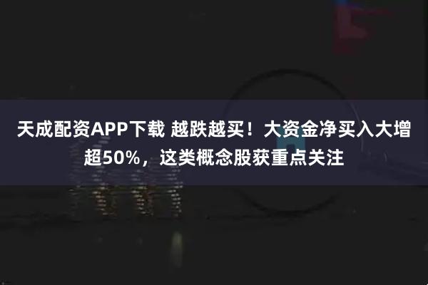 天成配资APP下载 越跌越买！大资金净买入大增超50%，这类概念股获重点关注