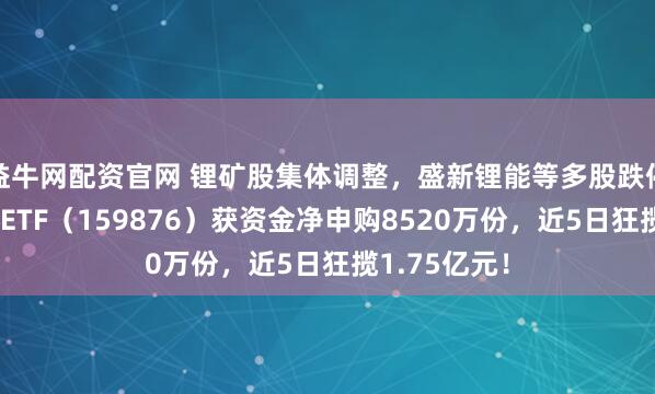 益牛网配资官网 锂矿股集体调整，盛新锂能等多股跌停！有色龙头ETF（159876）获资金净申购8520万份，近5日狂揽1.75亿元！